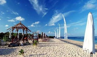 创道旅游团队招募旅游代理 探索事业新机遇